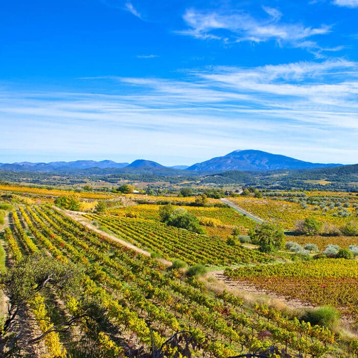 Vignobles De Vallee Du Rhone
